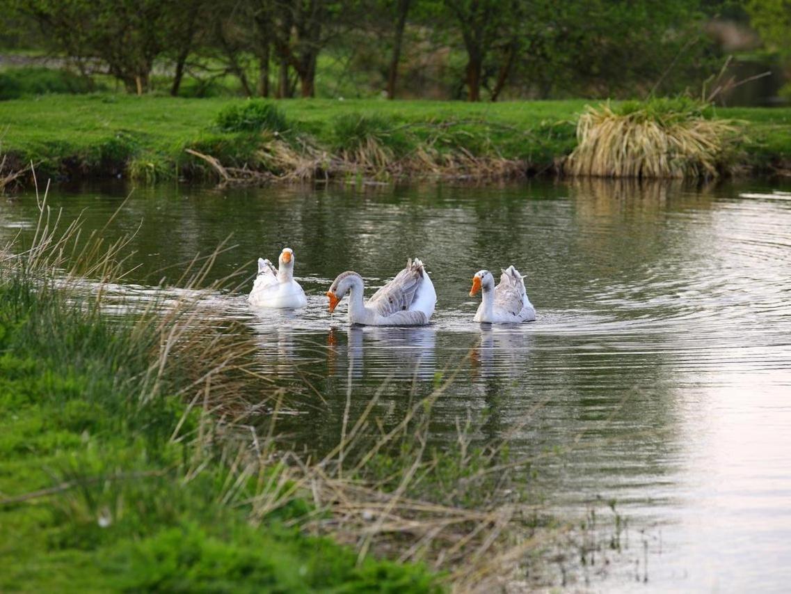 Gites De La Ferme De Vur Ven Gouvieux Dış mekan fotoğraf