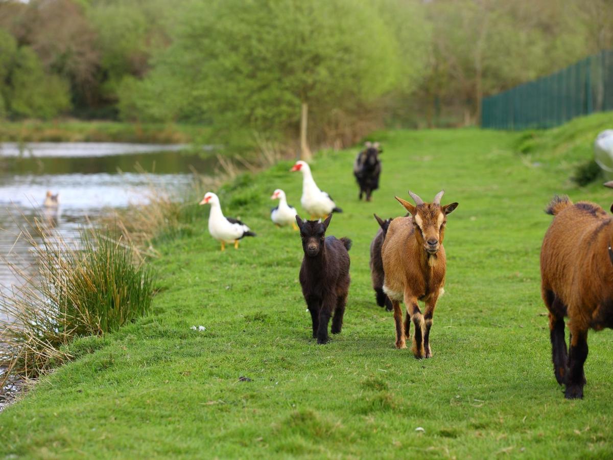 Gites De La Ferme De Vur Ven Gouvieux Dış mekan fotoğraf